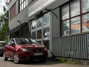 Seat Ibiza 2013